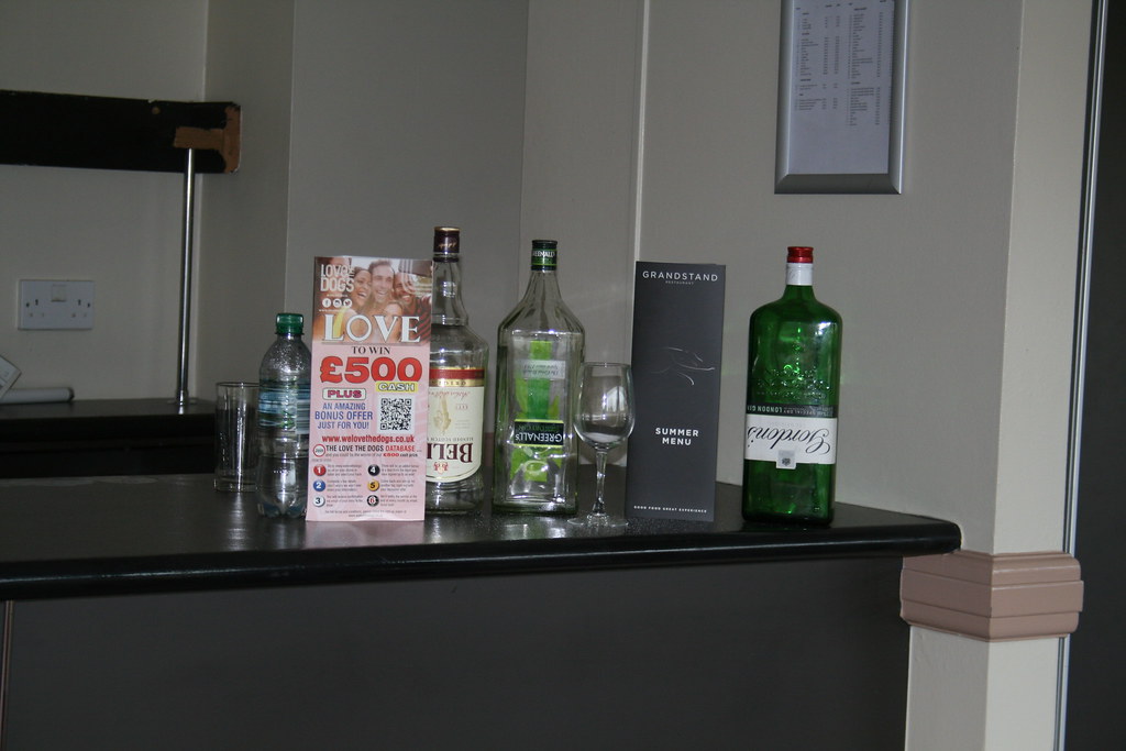 img_6704_26751183039_l Exploring Hall Greens Abandoned Dogs Stadium (2017)