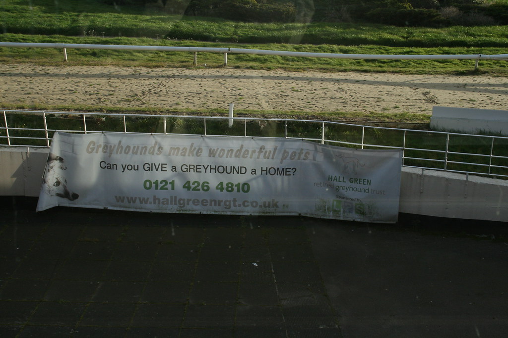 img_6721_38526833851_l Exploring Hall Greens Abandoned Dogs Stadium (2017)