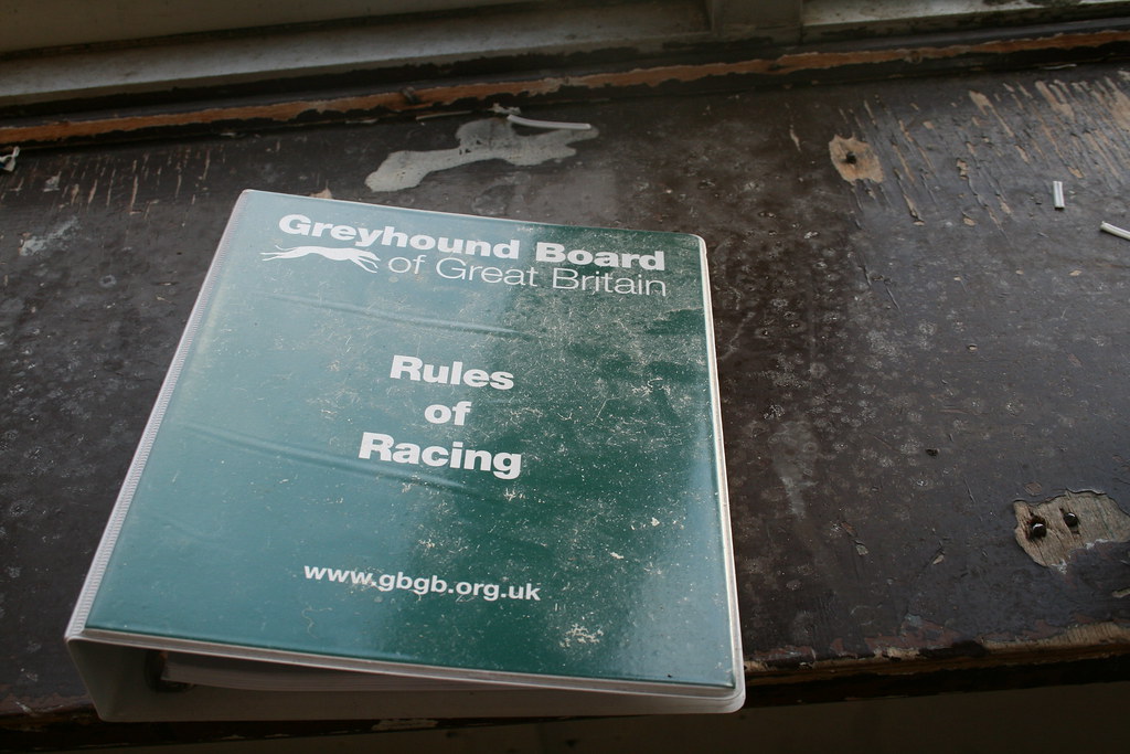 img_6756_38495253052_l Exploring Hall Greens Abandoned Dogs Stadium (2017)