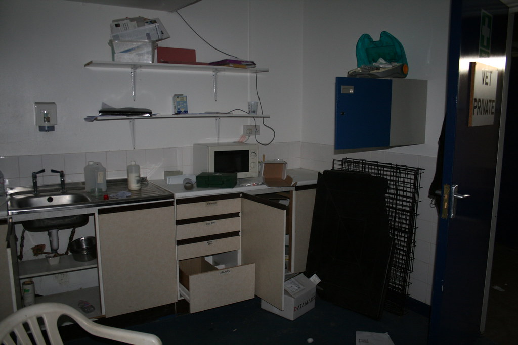 img_6793_24654648008_l Exploring Hall Greens Abandoned Dogs Stadium (2017)