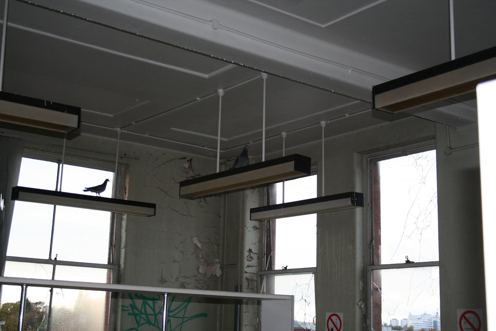 img_1279_22766656138_l Abandoned Selly Oak Hospital